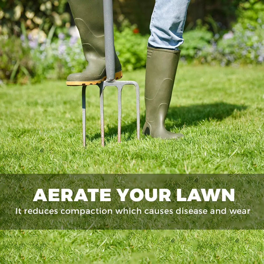 How Do You Aerate Your Lawn LoveMyLawn Net