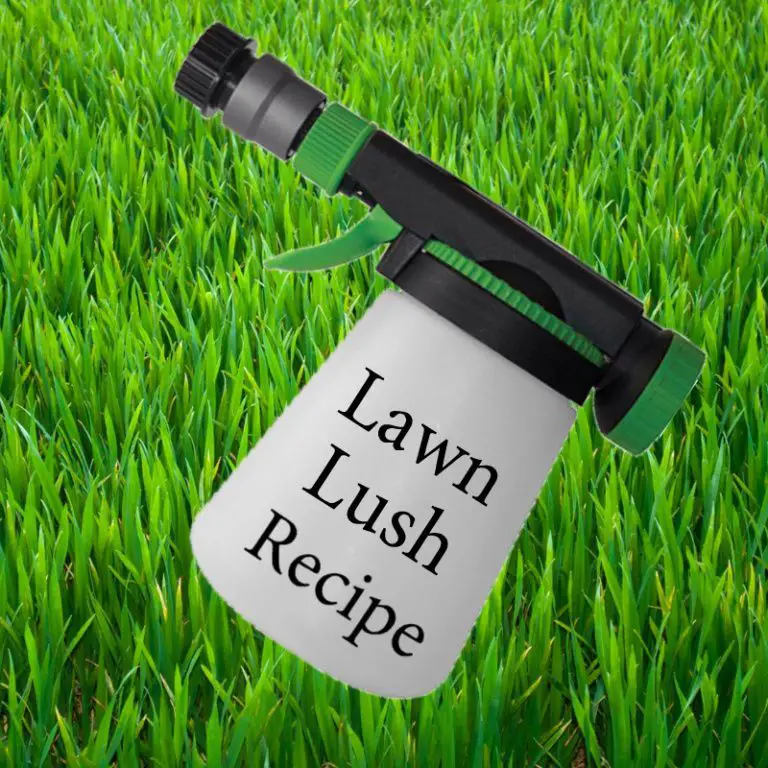 How To Get Your Lawn Green And Thick LoveMyLawn Net