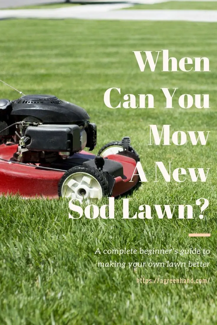 What Time Can You Mow Your Lawn 3394