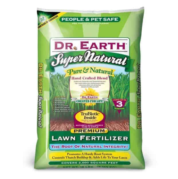 7 Best Fertilizer for St. Augustine Grass [High Nitrogen, Liquid ...
