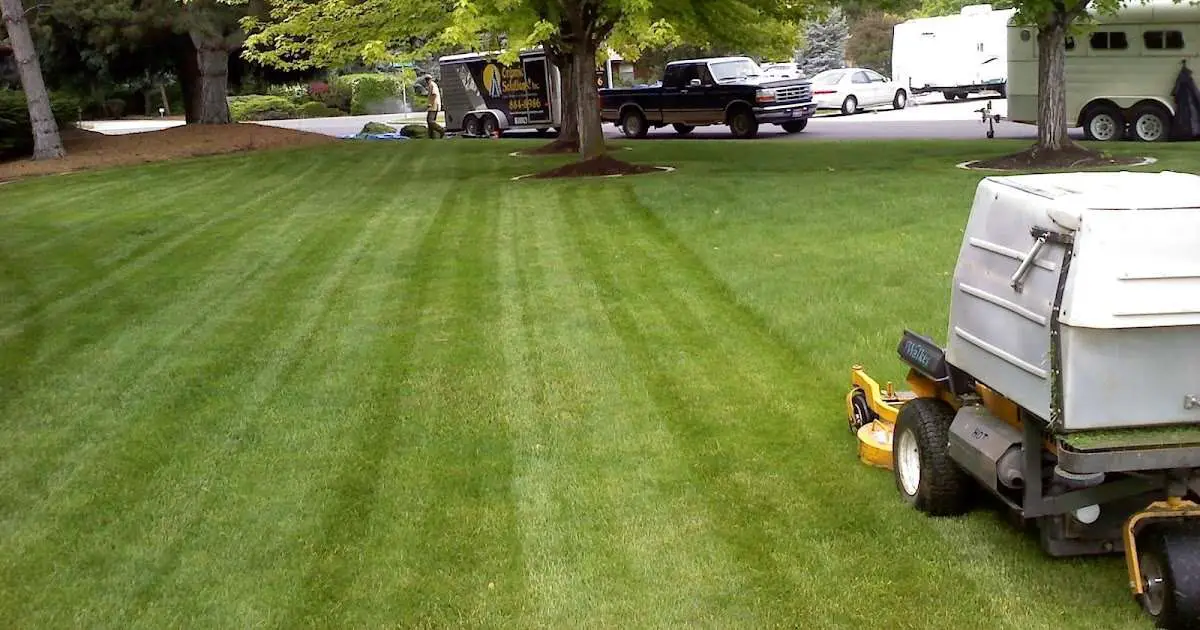 Best lawn care in Boise, Idaho: Organic Solutions Inc.