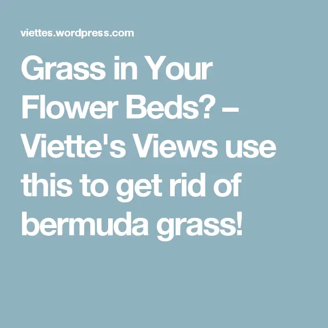 Grass in Your Flower Beds?