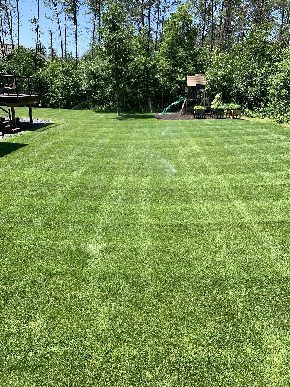 How Long When To Expect Lawn Care Results When Starting A 