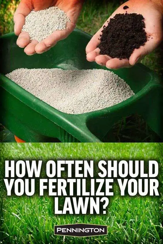 when-do-you-fertilize-lawn-lovemylawn