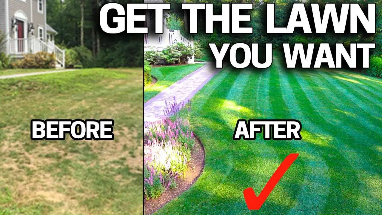 How To Fix Ugly Lawn