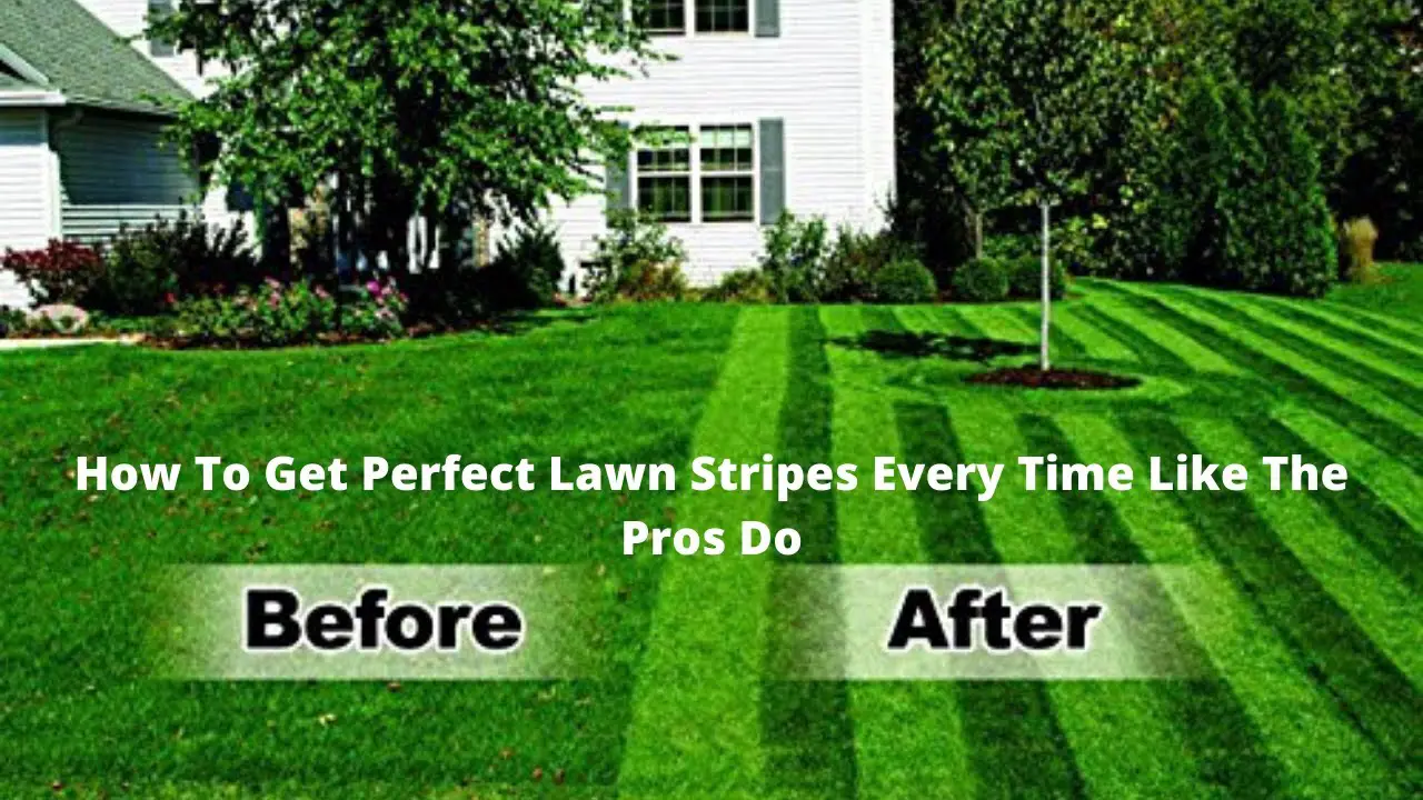 how-to-get-lines-in-lawn-lovemylawn