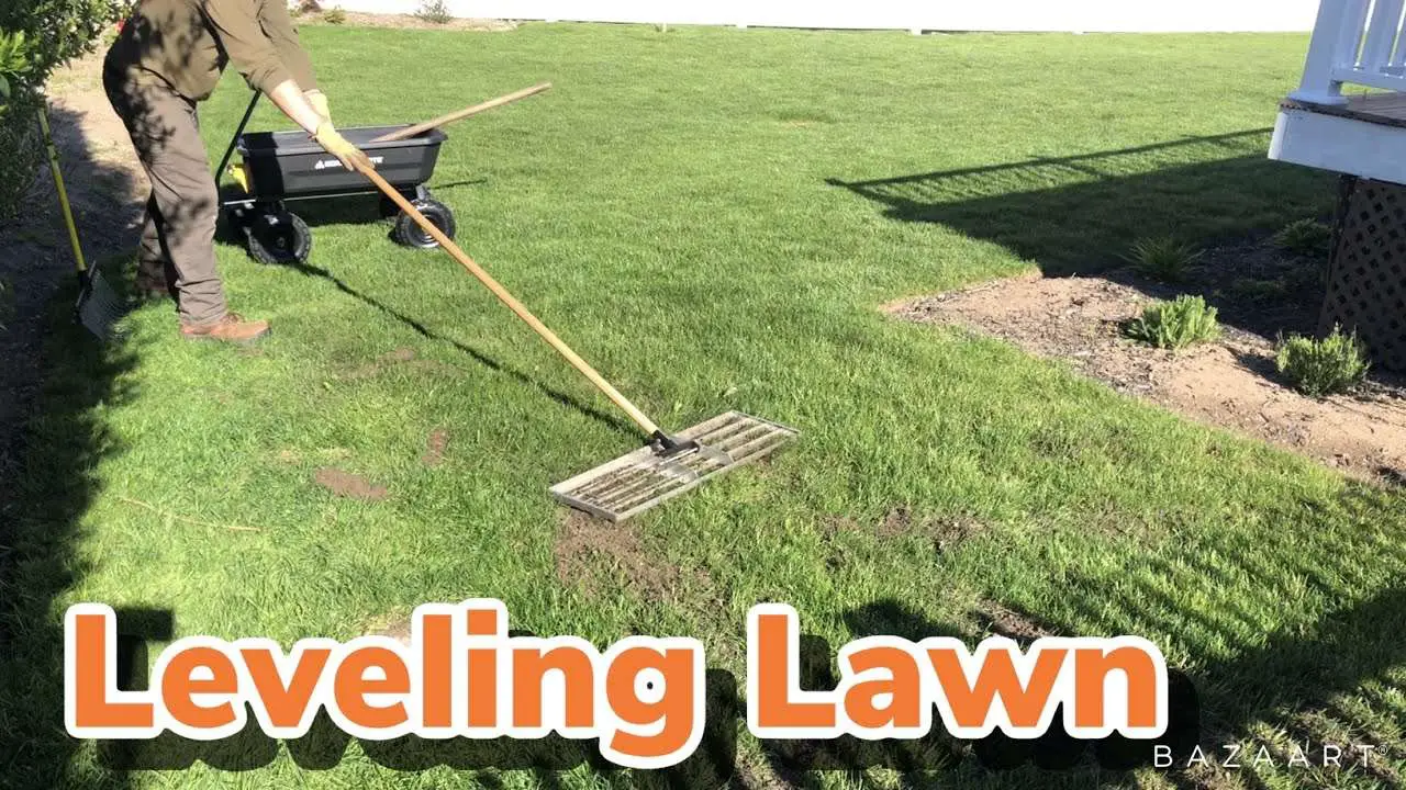 How To Level Your Lawn (Over Time)