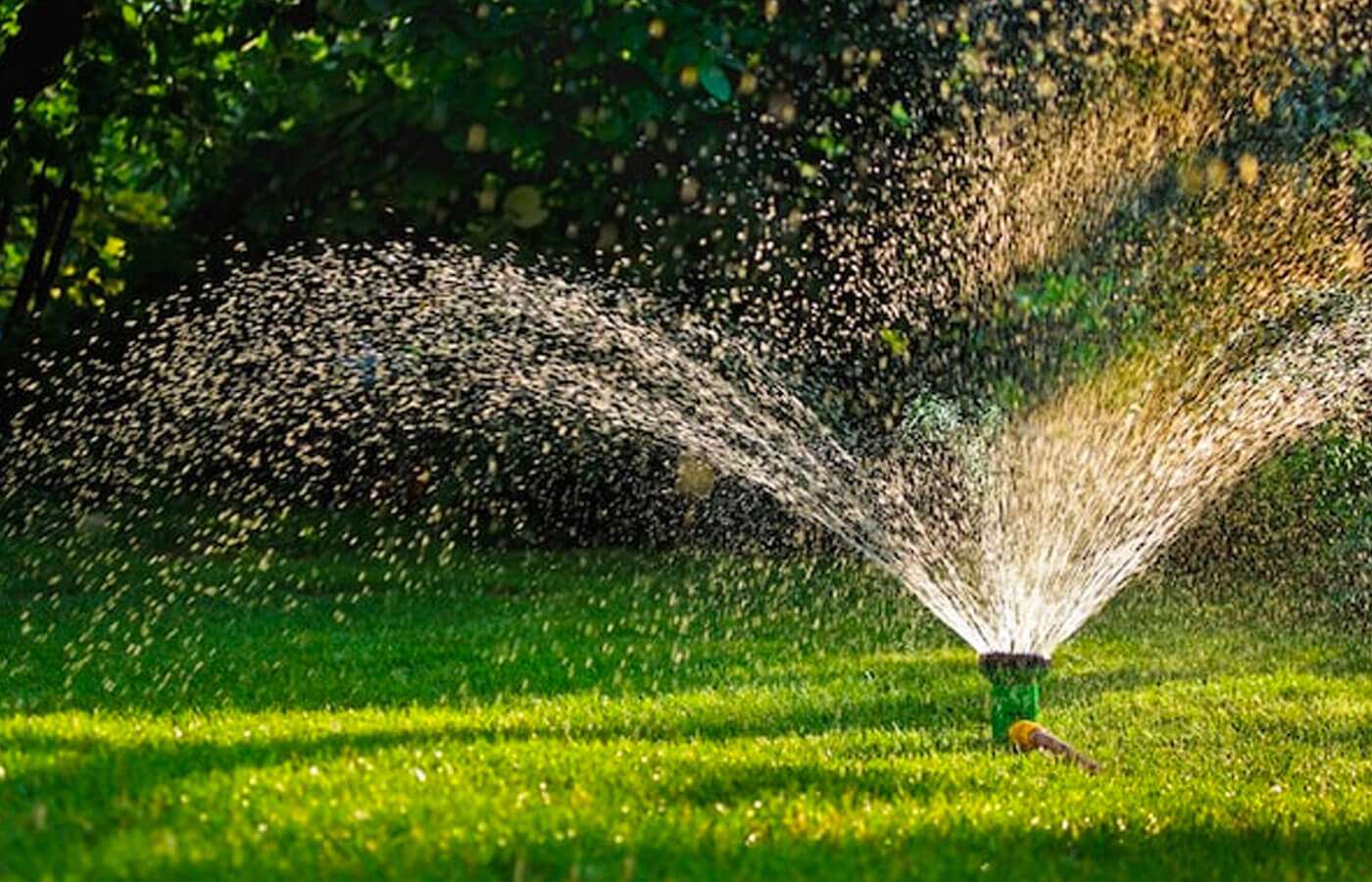 How To Properly Water Your Lawn