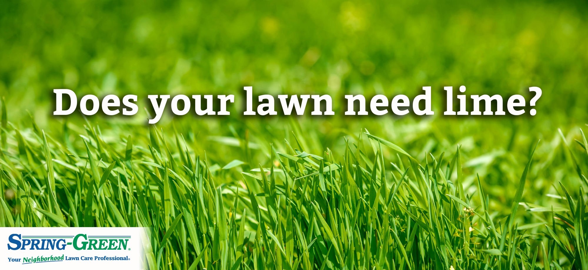 what-does-lime-do-for-lawns-lovemylawn