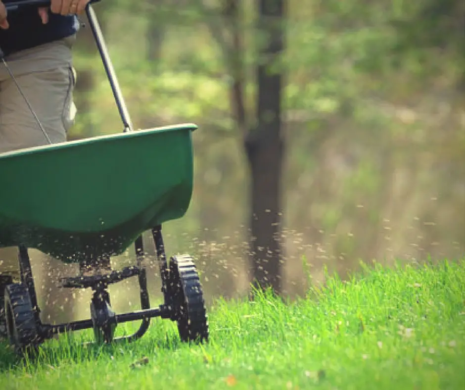 How To Properly Overseed Your Lawn 