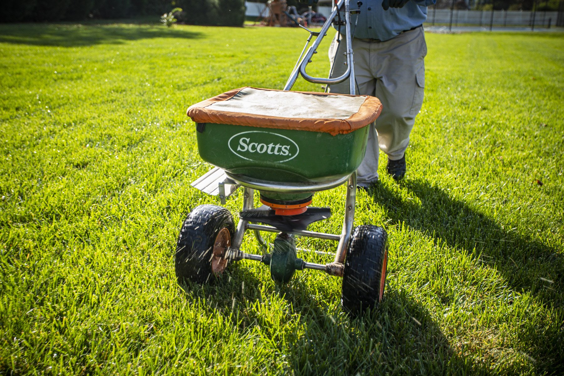 When to Fertilize Your Lawn in Spring in Maryland